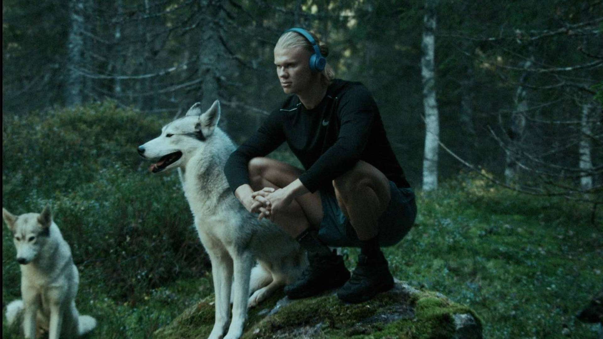 imovi