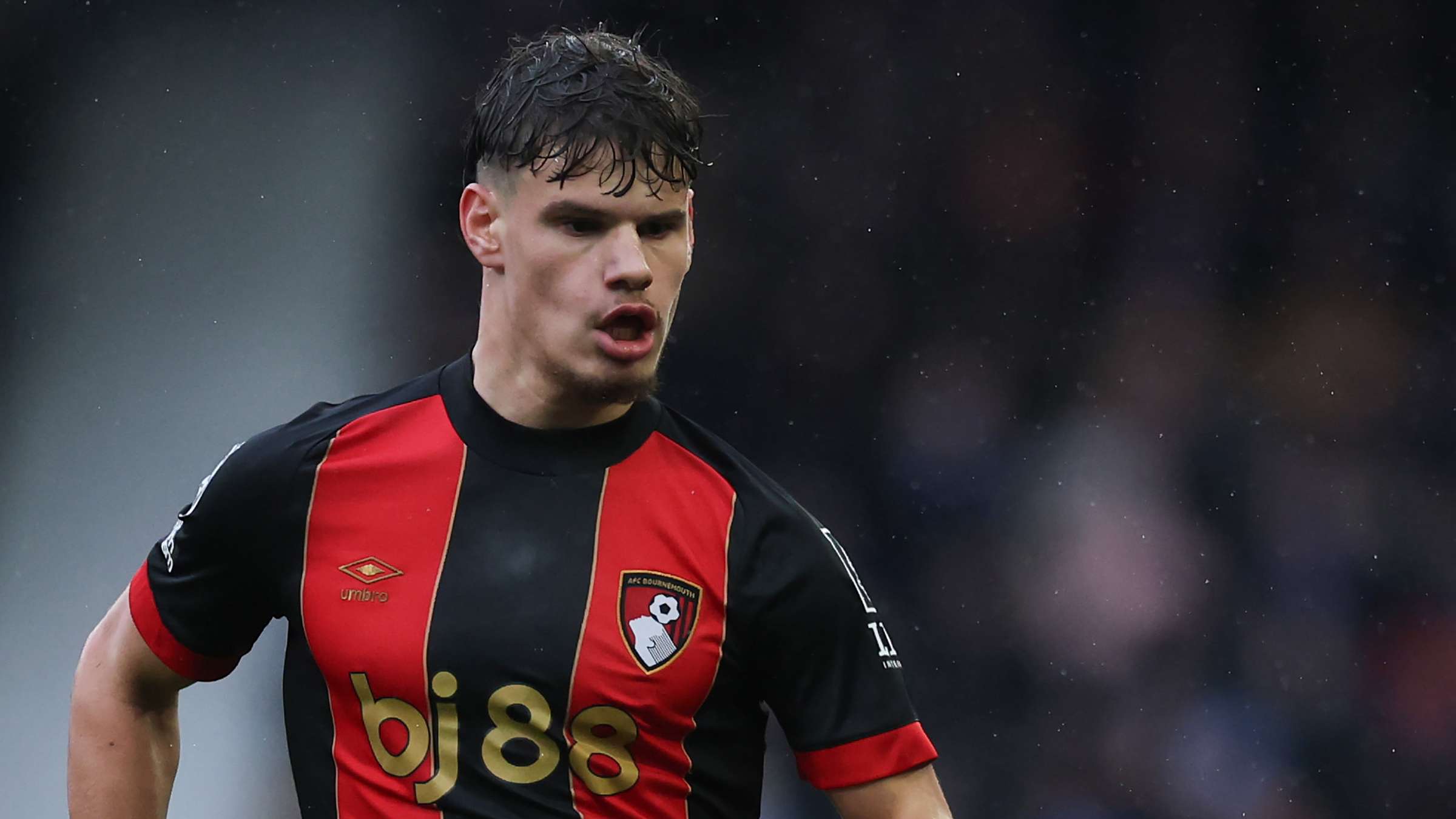 分享他们的 分享他们的