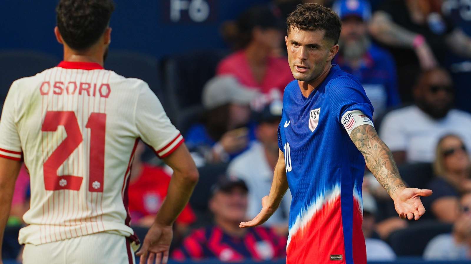 给出对未来 给出对未来