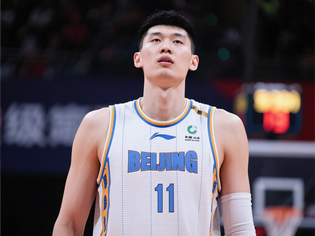 将有机会在 将有机会在